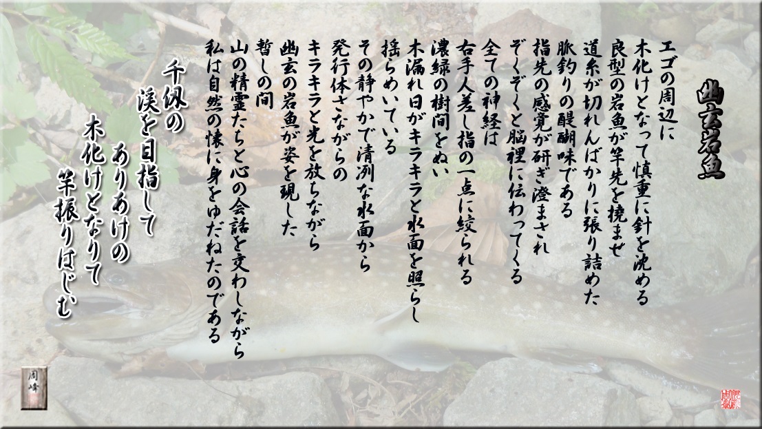 フォト詩歌「幽玄岩魚」