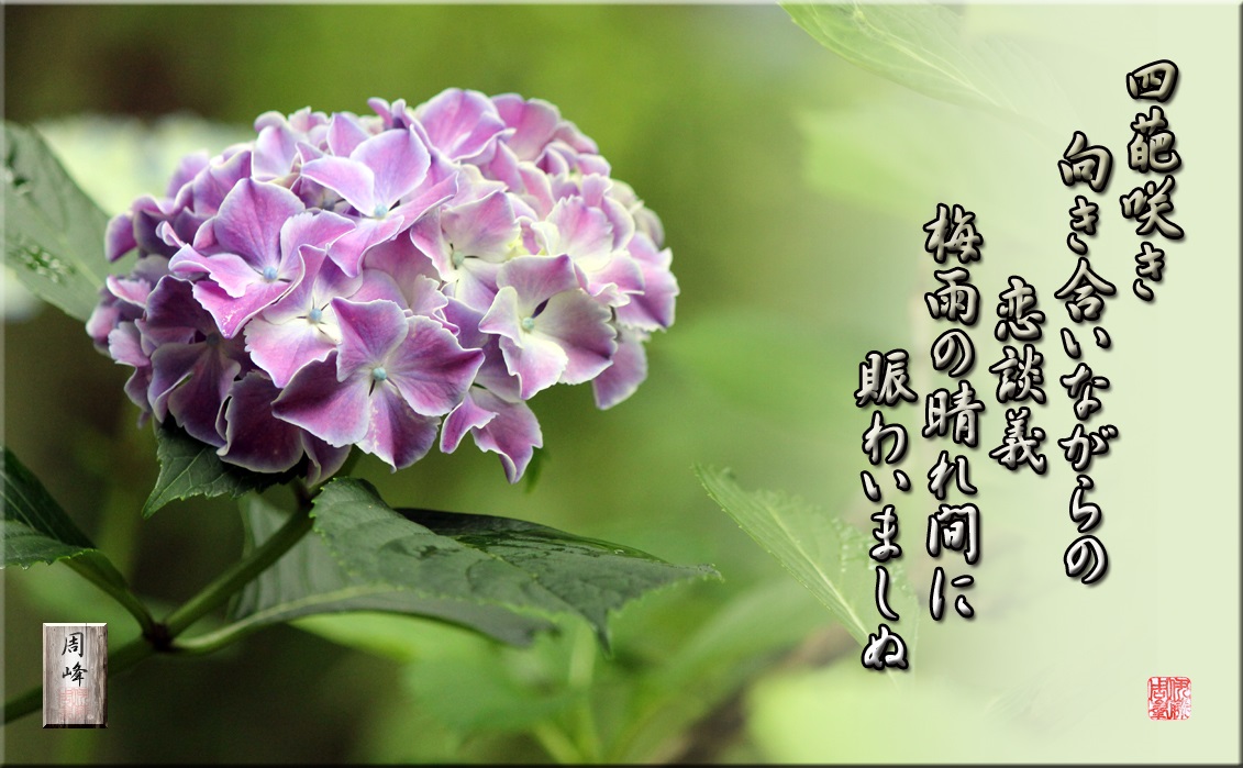 写真で見る私の好きな舞川